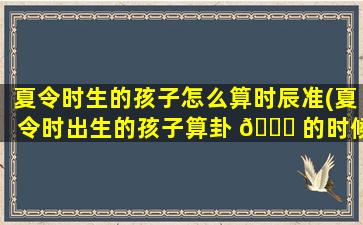 夏令时生的孩子怎么算时辰准(夏令时出生的孩子算卦 🐛 的时候怎么说 🦢 时辰)